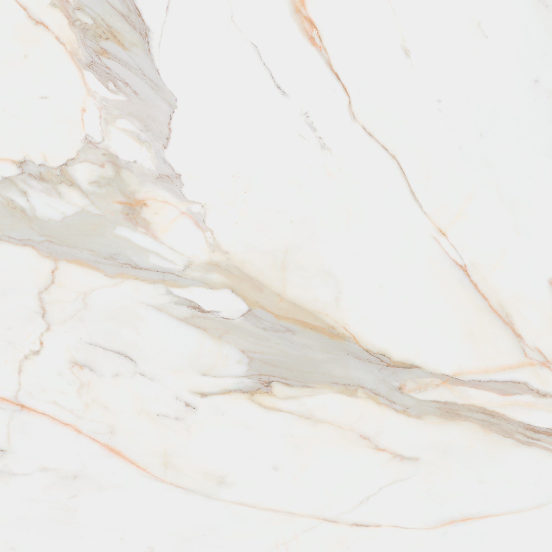 Ceramic Tile - CALACATA Collection available in 3 sizes, 3 colors and 2 finishes.