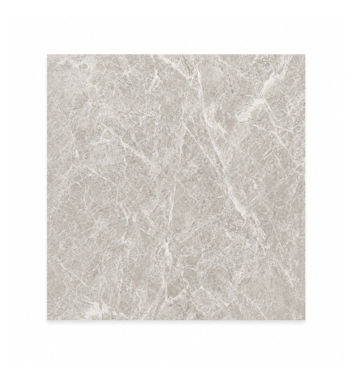 Ceramic Tile Grey Glossy Glazed 24x24 in 15.50 SF Box 24x24 in Gris Glossy