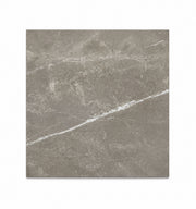 Ceramic Tile Pris Fior Di Bosco Noce Polished 24x24 in 16.00 SF Box 24x24 in
