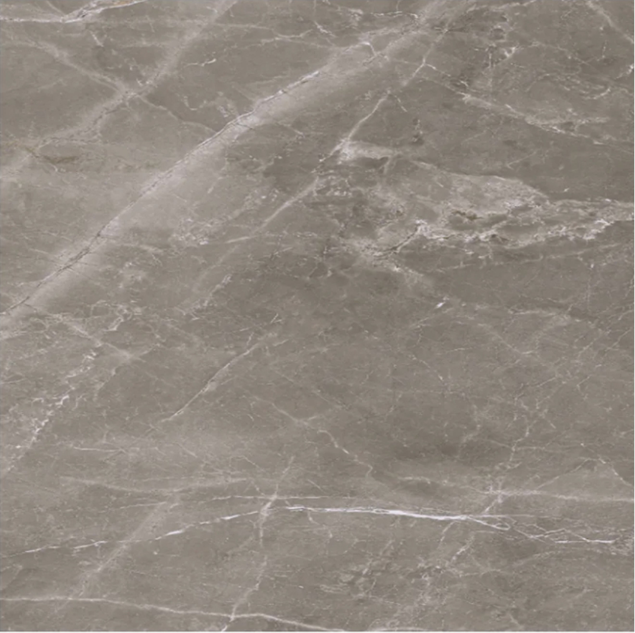 Ceramic Tile Pris Fior Di Bosco Noce Matte 24x24 in 16.00 SF Box