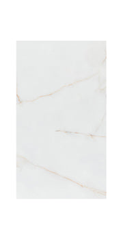Ceramic Tile Gelsa Oro Polished 24x48 in 15.50 SF Box 24x48 in