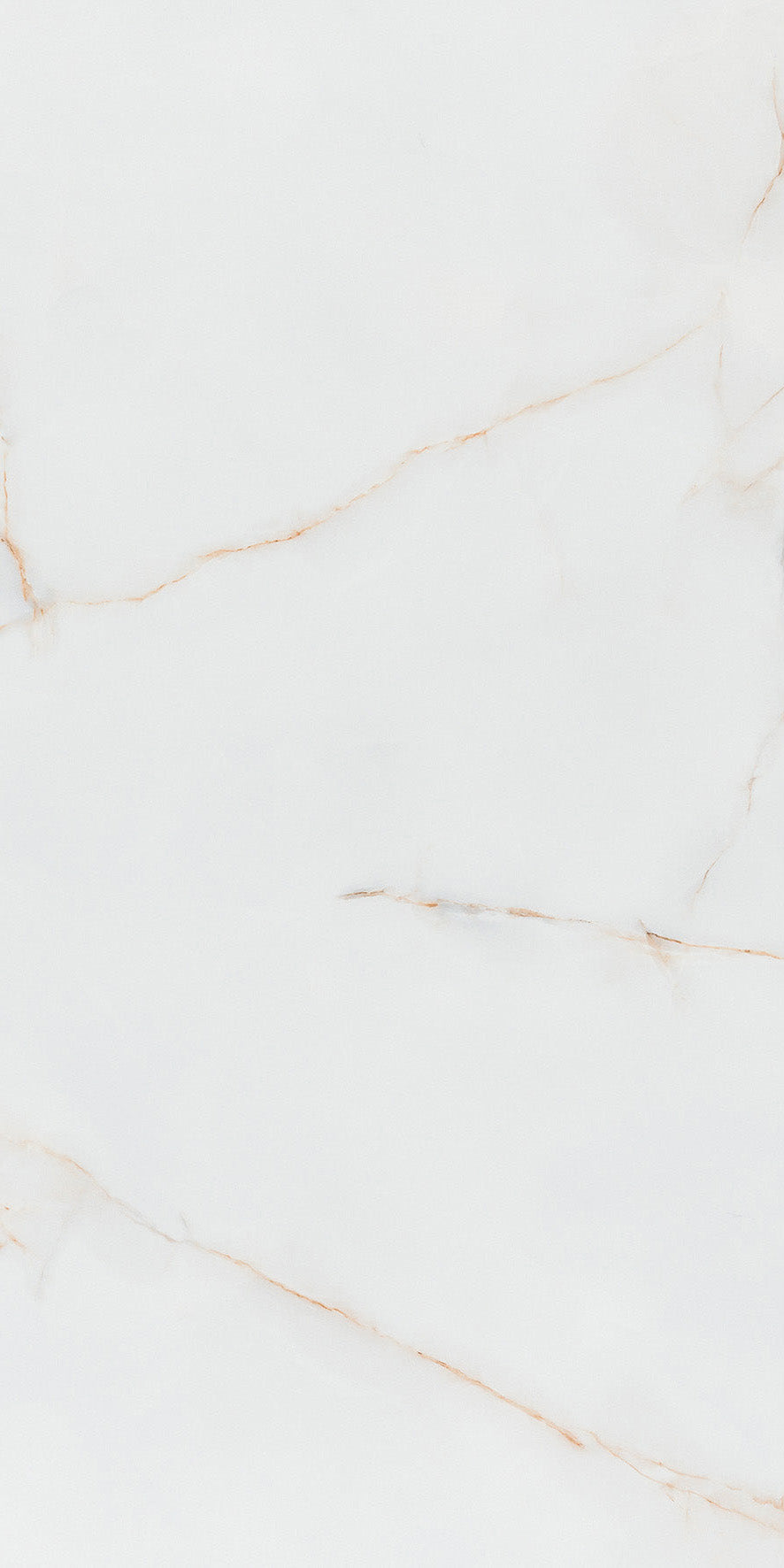 Carreaux de céramique Gelsa Oro polis 24 x 48 po, boîte de 15,50 pi²