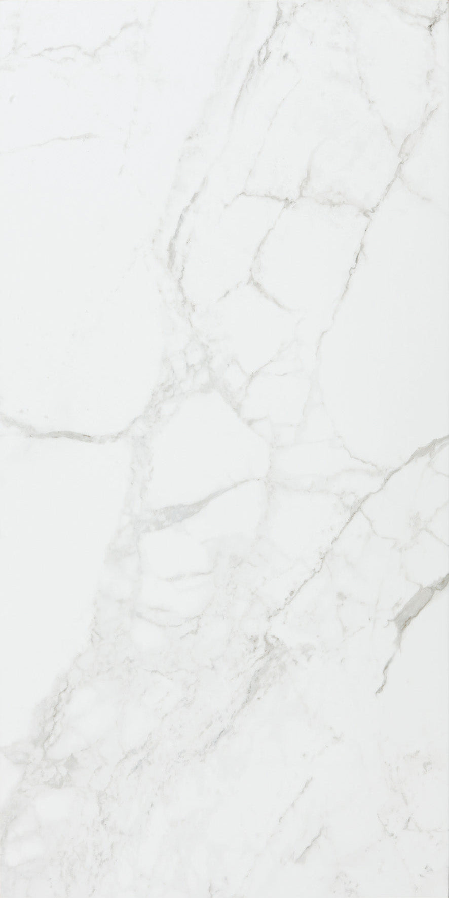Ceramic Tile Lucca Blanco Polished 24x48 in 15.50 SF Box