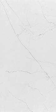 Carreaux de porcelaine Cr. Desert Natural Poli 24 x 48 po, boîte de 15,50 pi²