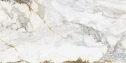 Porcelain Ceramic Tile - Cr. Pisa Collection available in 3 sizes 1 color and 2 finishes 24x48 in GOLD