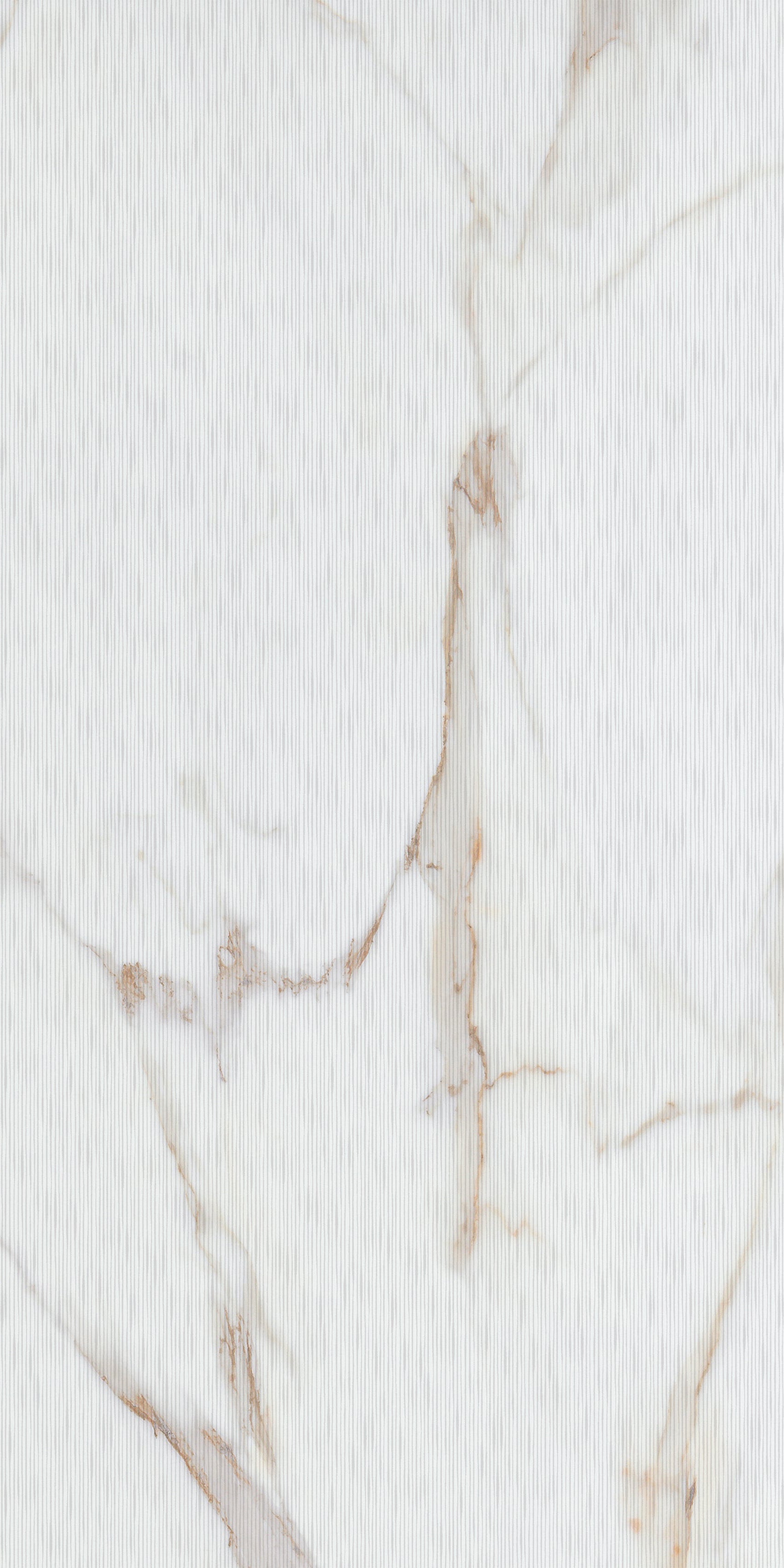 Ceramic Tile (F) Rlv.Calacata Gold Matte 24x48 in 15.50 SF Box