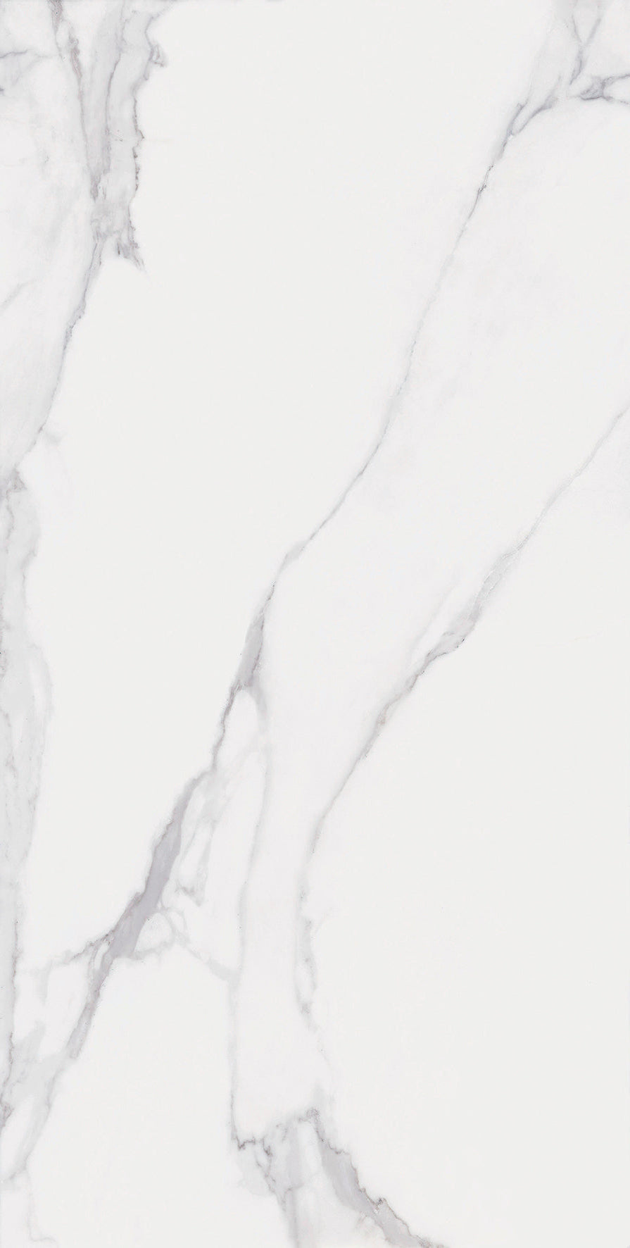 Cer./Por. Tile At.Portofino Brillo Polished 24x48 in 15.50 SF Box