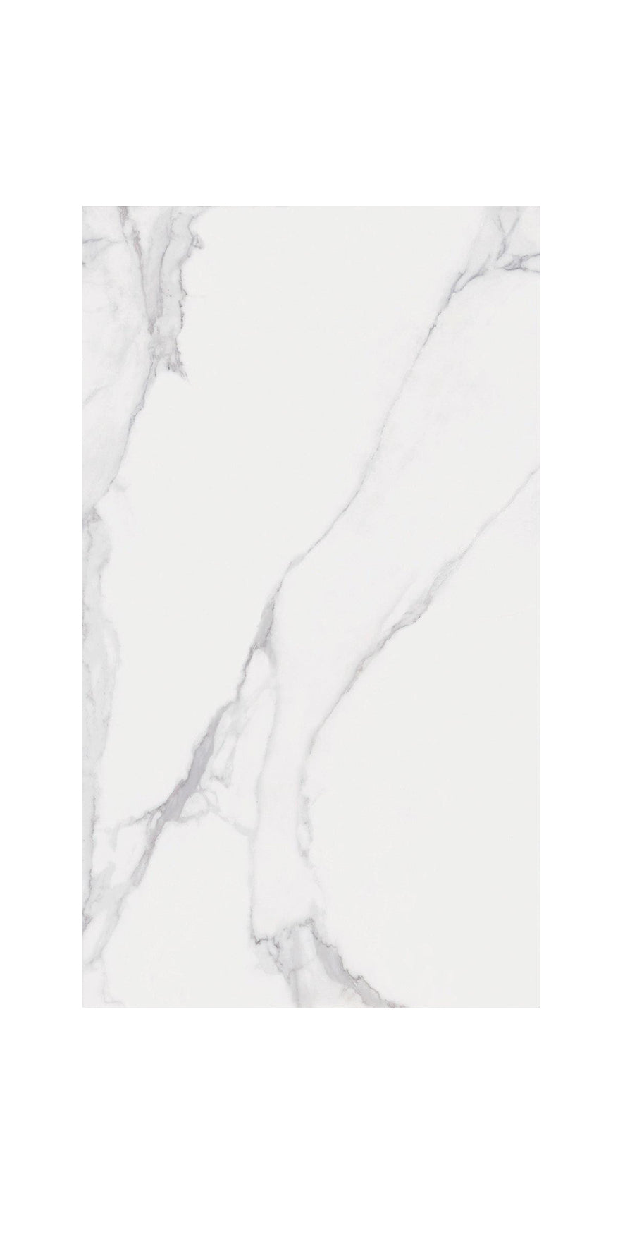 Ceramic Tile At.Portofino Brillo Polished 24x48 in 15.50 SF Box Brillio 24x48 in