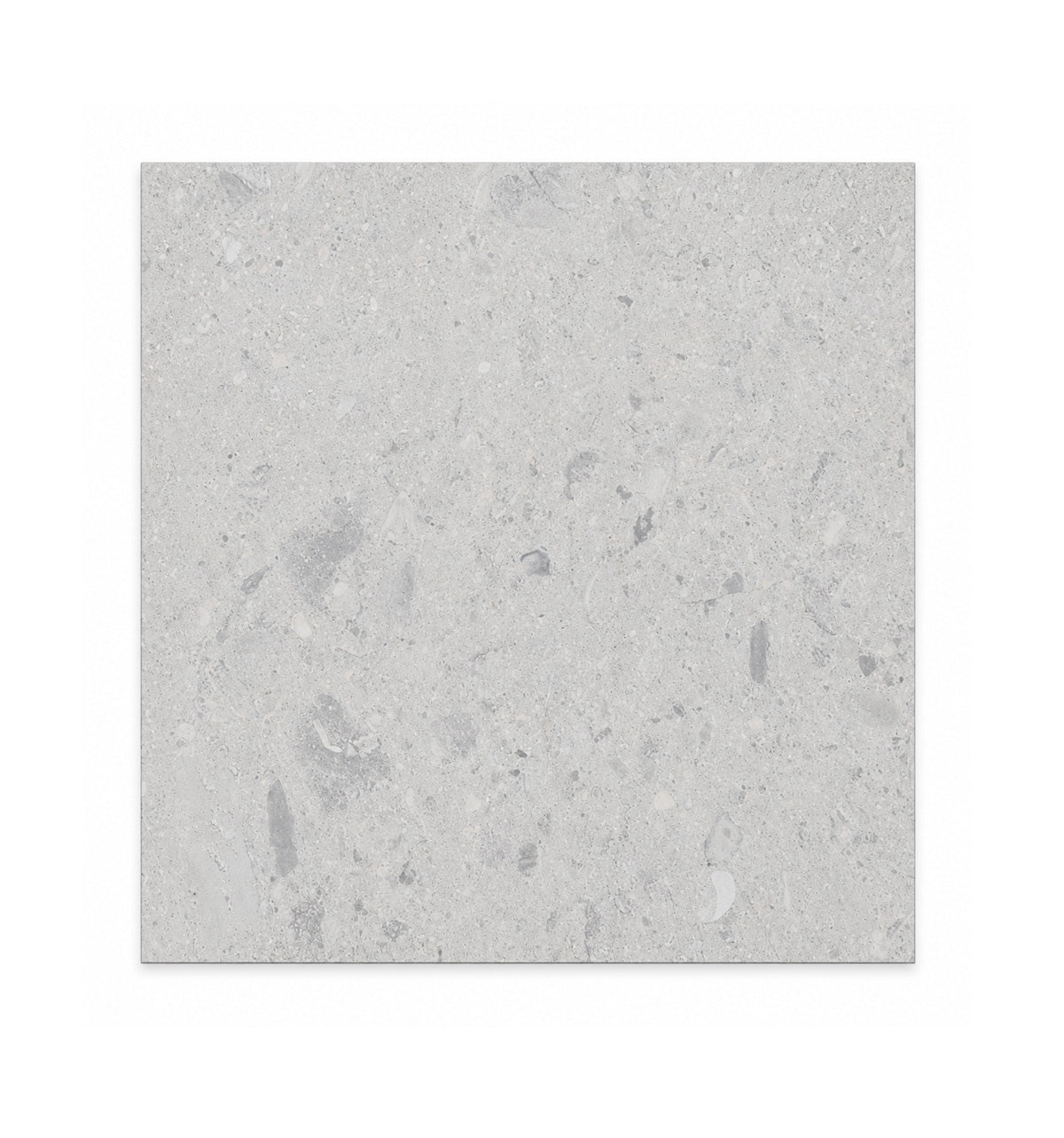 Porcelain Tile TERRAZO VERGLAS Collection 24x24 in 1 Color 1 Finish 24x24 in Blanc Matte
