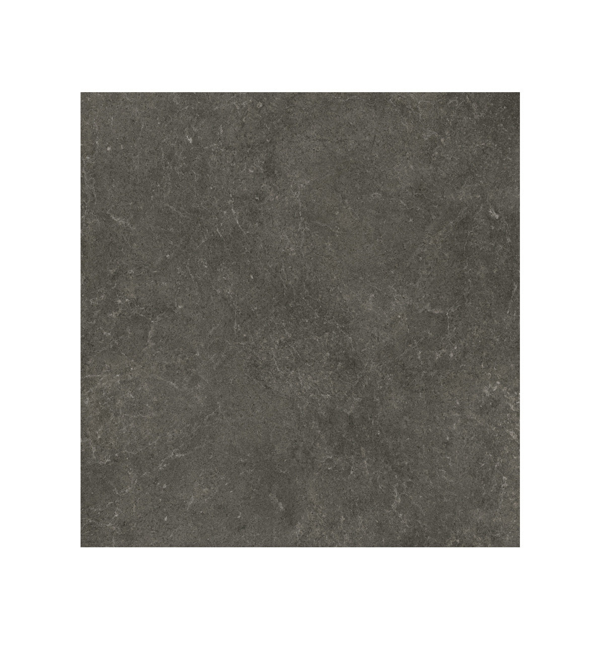 Ceramic Tile - Pris. Start Collection available in 24x24, 4 colors and 1 finish 24x24 in Argent Matte
