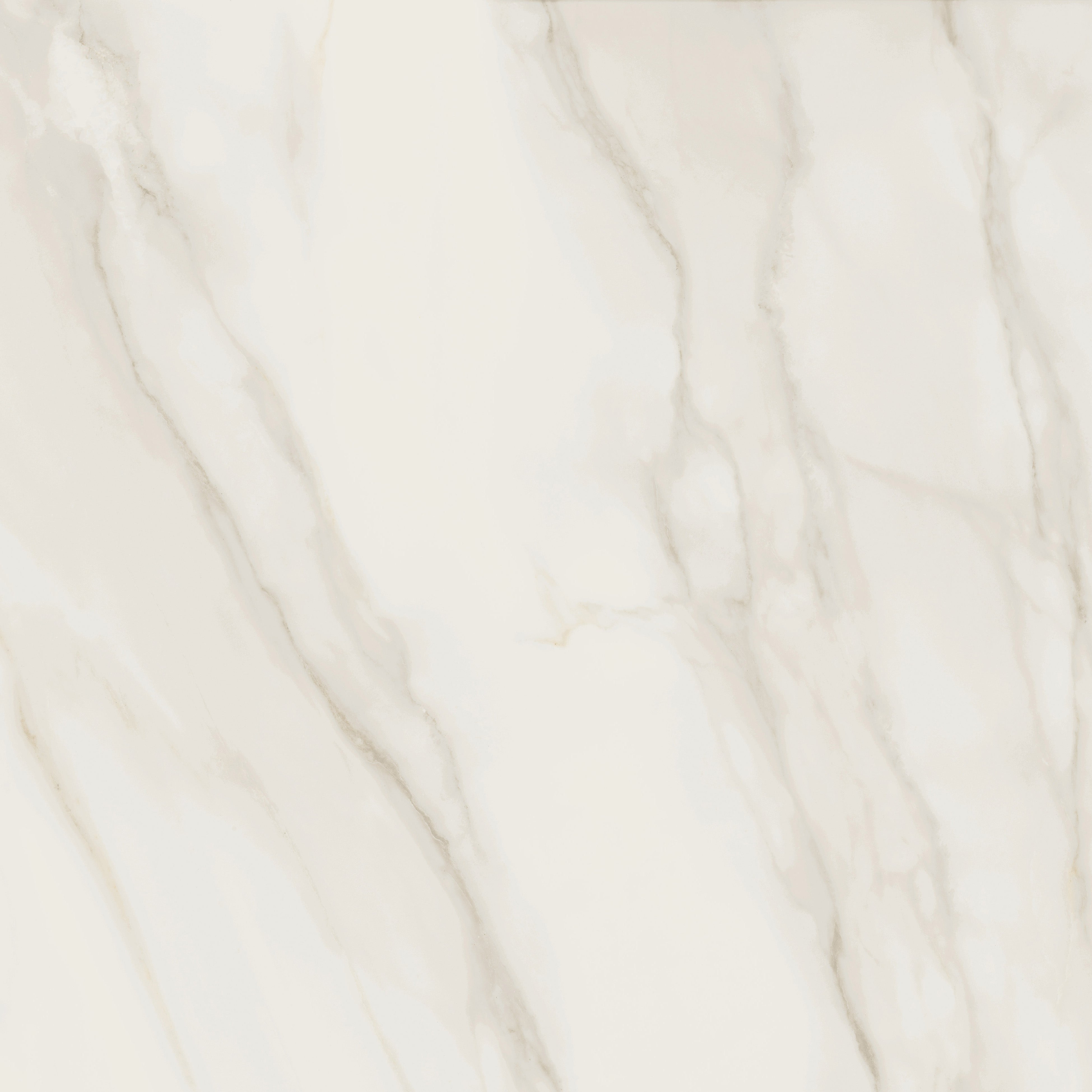 Porcelain Ceramic Tile - TRESANA BLANCO Polished 48x48 15.5 sf Box 48x48 in Blanco Polished