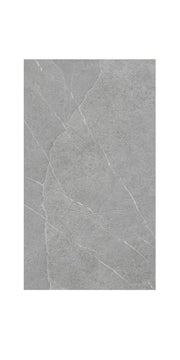 Ceramic Tile Lavagna Pietra Di Argento Matte 24x48 in 15.50 SF Box 24x48 in
