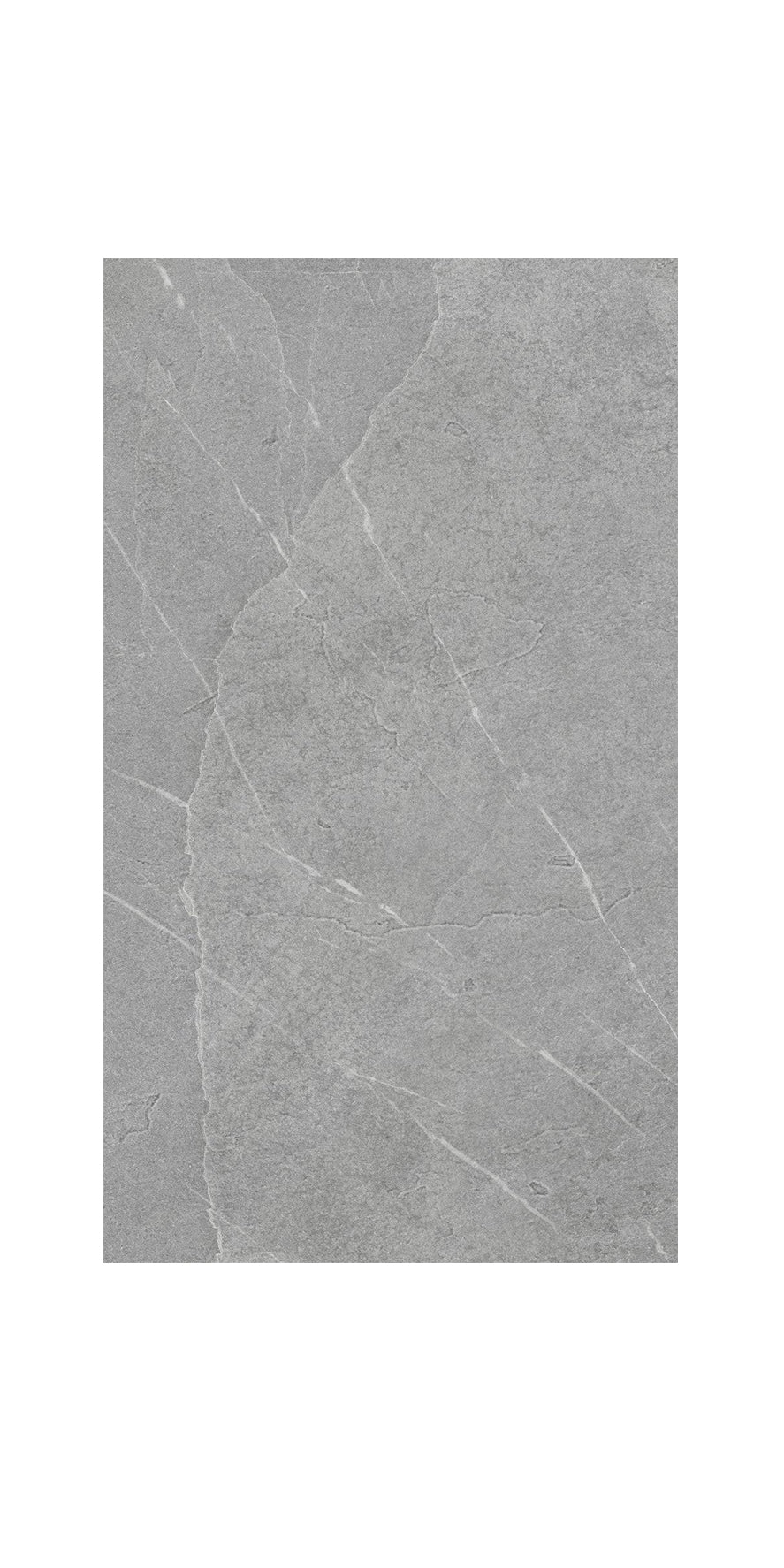 Ceramic Tile Lavagna Pietra Di Argento Matte 24x48 in 15.50 SF Box 24x48 in