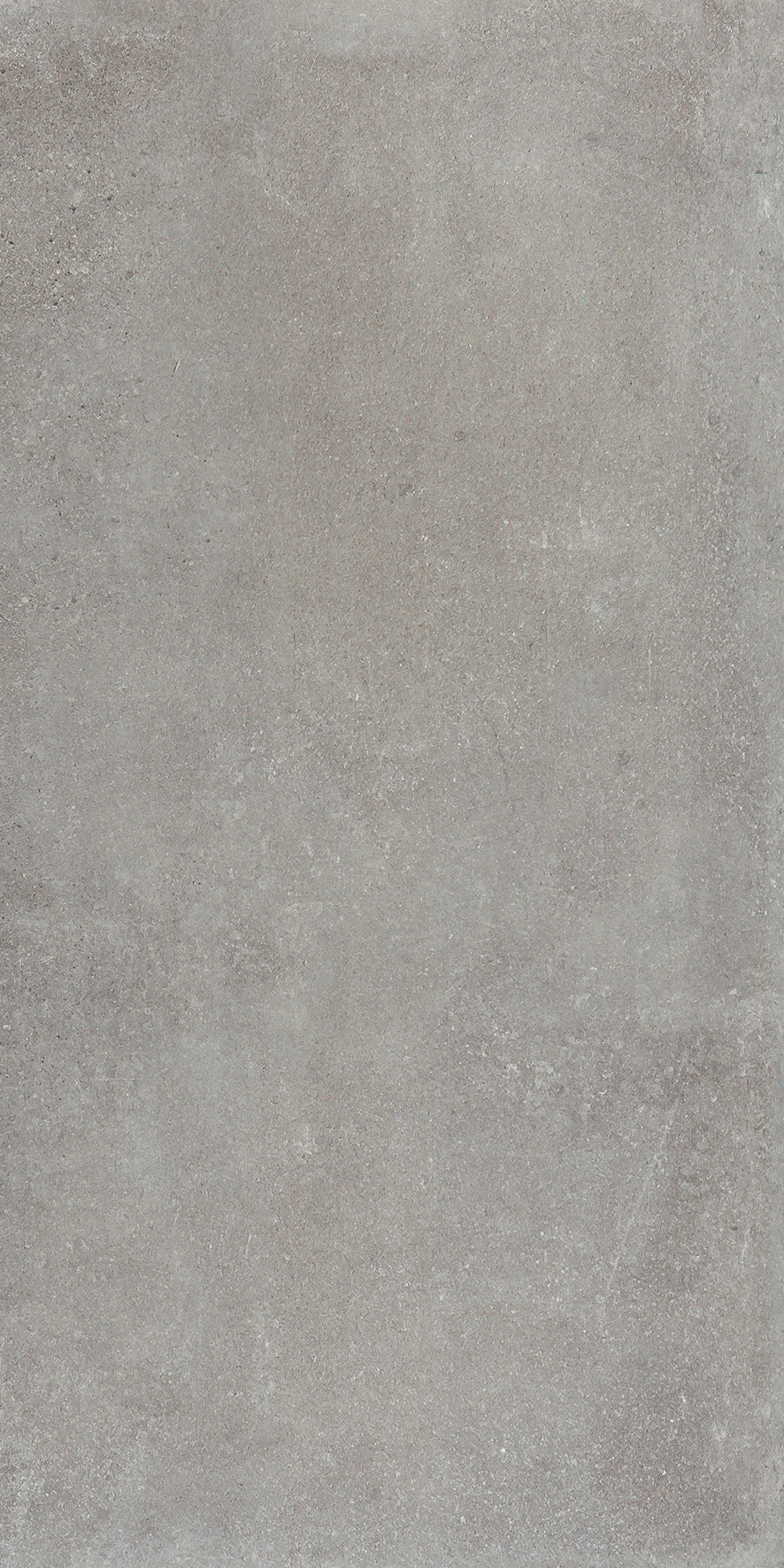 Carreaux en céramique/poreux Midway Graphite mat 24 x 48 po, boîte de 15,50 pi²