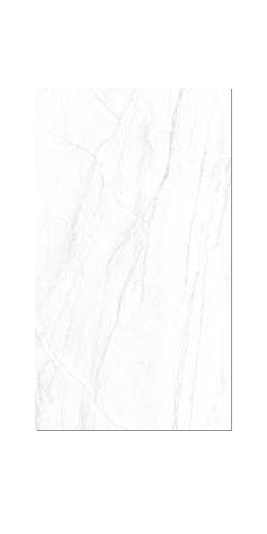 Ceramic Tile Montebianco Polished 24x48 in 15.50 SF Box 24x48 in