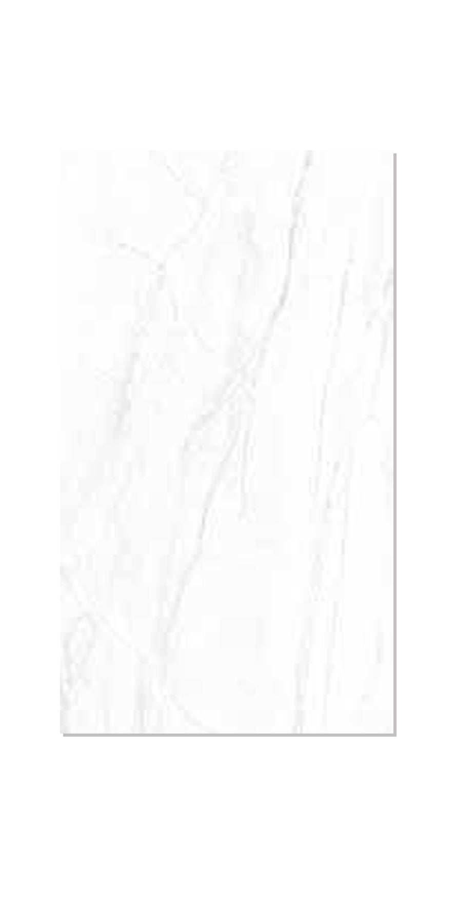 Ceramic Tile Montebianco Matte 24x48 in 15.50 SF Box 24x48 in