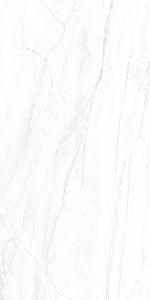 Cer./Por. Tile Montebianco Polished 24x48 in 15.50 SF Box