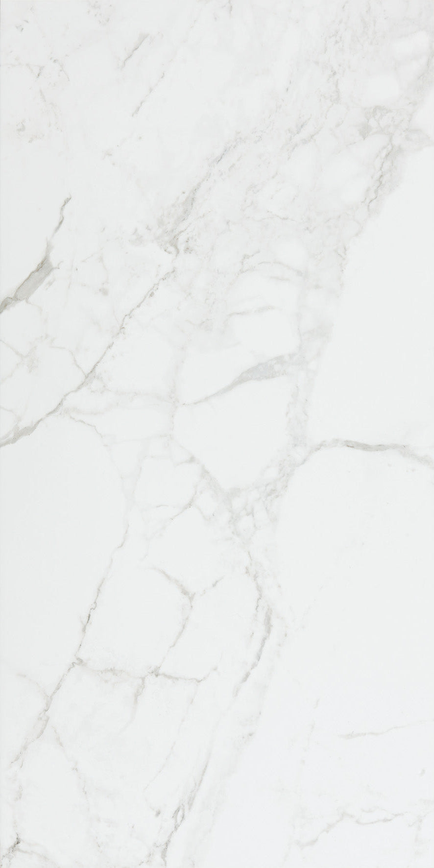 Ceramic Tile Lucca Blanco Matte 24x48 in 15.50 SF Box