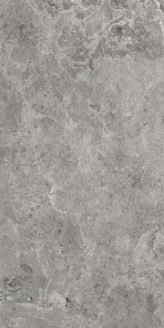 Cer./Por. Tile Es.Erding Grey Matte 24x48 in 15.50 SF Box