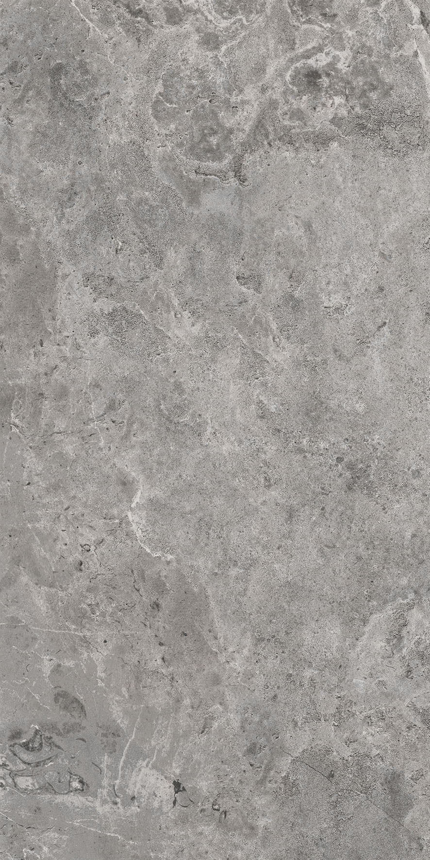 Cer./Por. Tile Es.Erding Grey Matte 24x48 in 15.50 SF Box