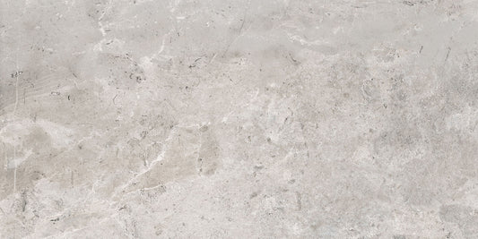 6.99 $ / SF - 15.5 SF/ Box  Tile ES.ERDING SILVER Rectified Matte 24x48 in MJ1