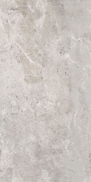 Cer./Por. Tile Es.Erding Silver Matte 24x48 in 15.50 SF Box