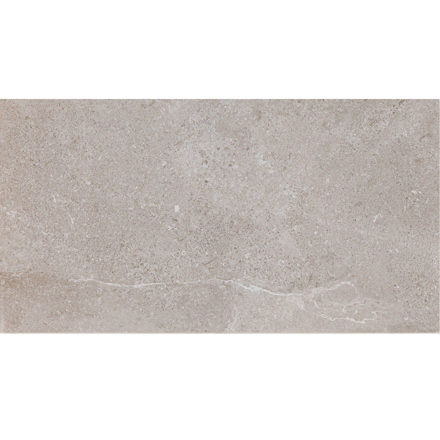 Cer./Por. Tile Es.Erding Ash Matte 24x48 in 15.50 SF Box
