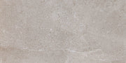 Cer./Por. Tile Es.Erding Ash Luxglass 24x48 in 15.50 SF Box