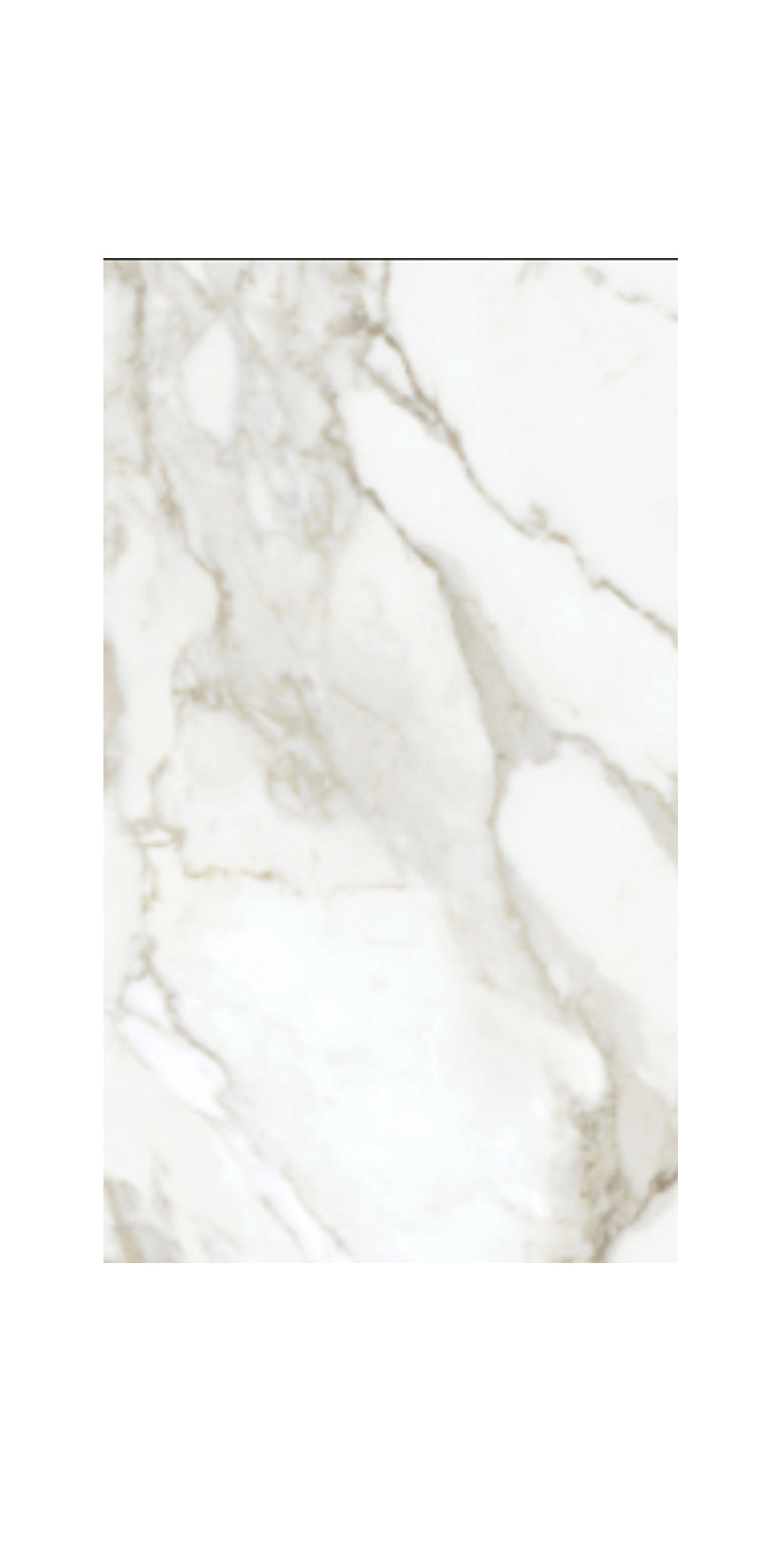 Ceramic Tile La Marca Calacatta Paonazzo Polished 24x48 in 15.50 SF Box