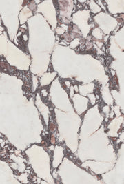 Carreau de céramique Viola poli 24 x 48 po, boîte de 15,50 pi²