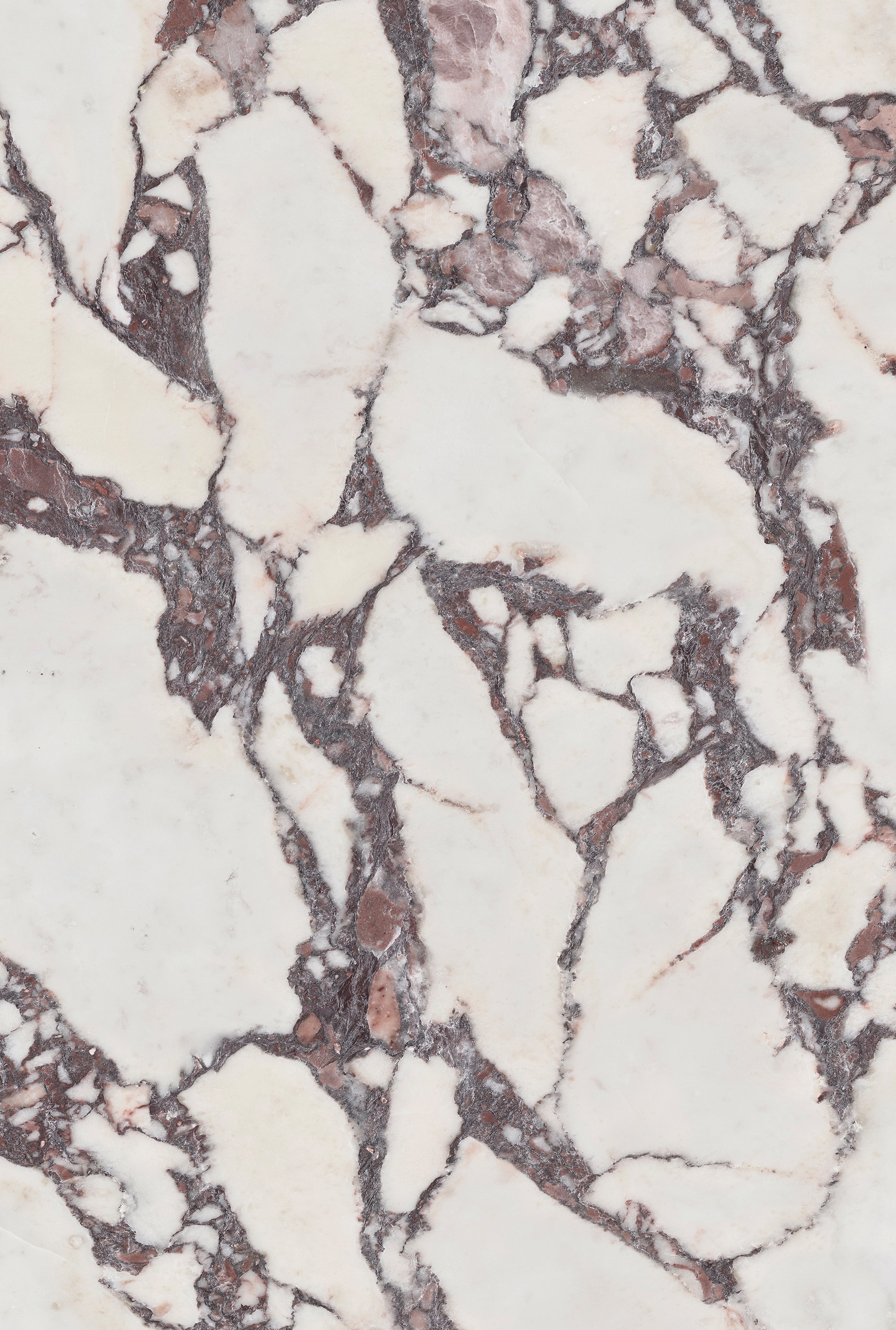 Carreau de céramique Viola poli 24 x 48 po, boîte de 15,50 pi²