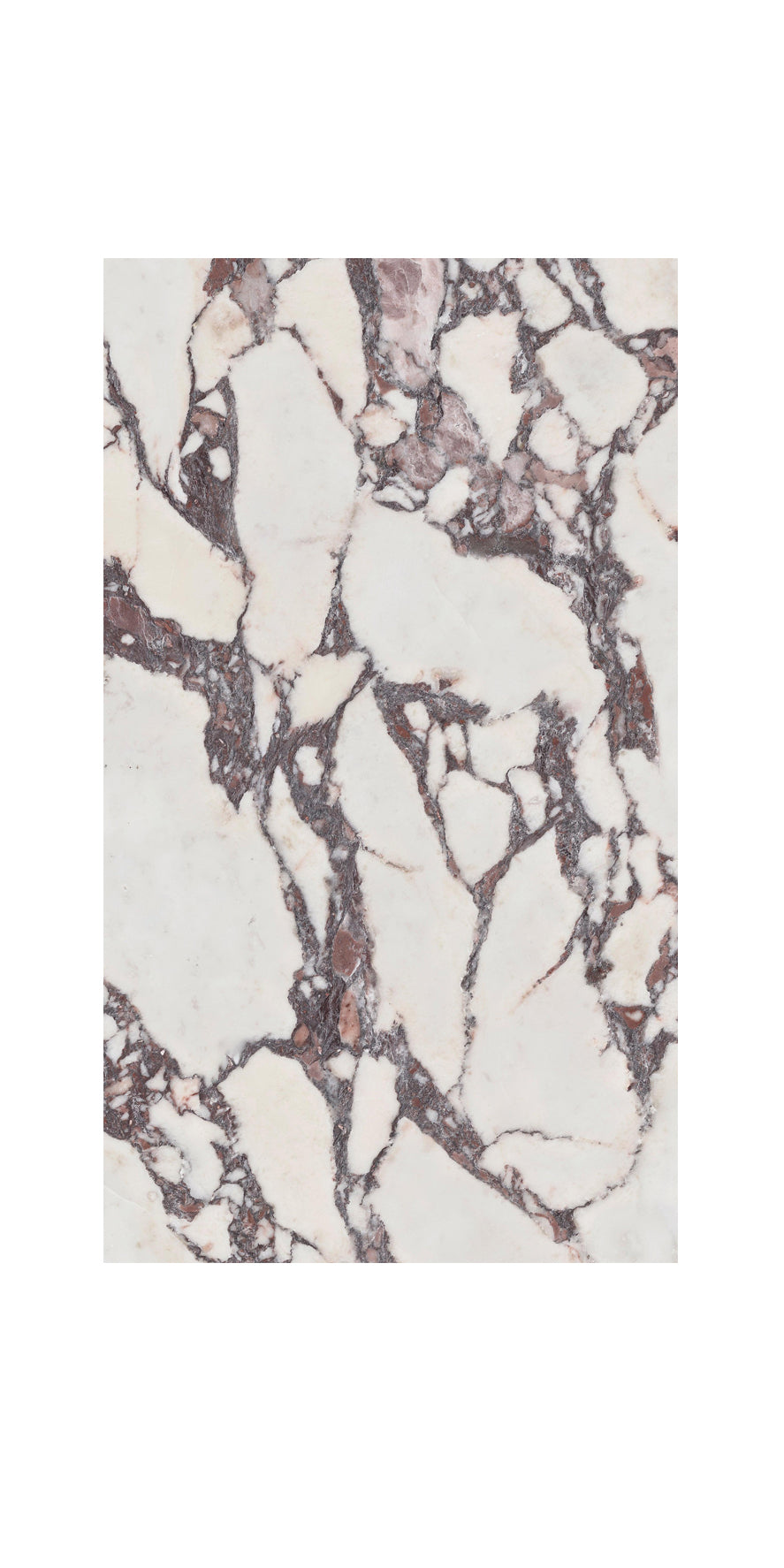 Ceramic Tile Viola Polished 24x48 in 15.50 SF Box 24x48 in