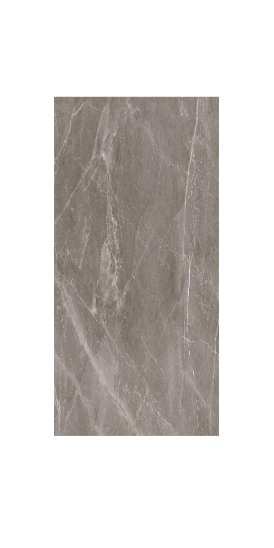 Ceramic Tile Pris Fior Di Bosco Noce Matte 12x24 in 12.00 SF Box 12x24 in