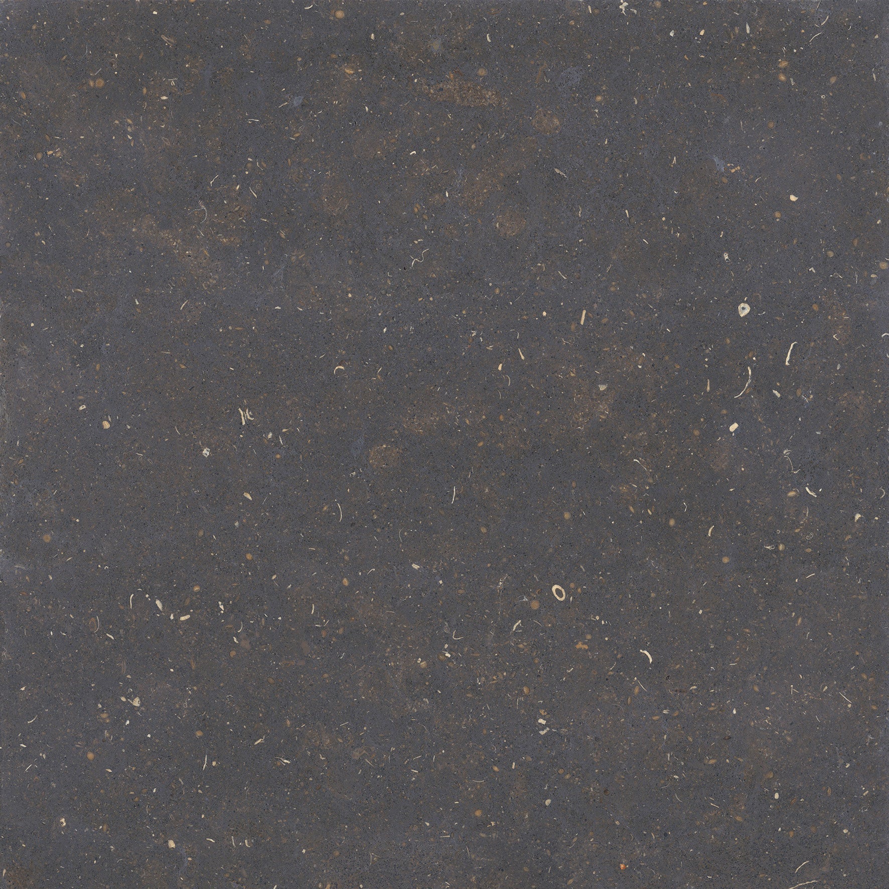 Porcelain ceramic Tile - (T) C Dover Collection available in 2 sizes 3 colors and 1 finish 24x24 in Nero Matte