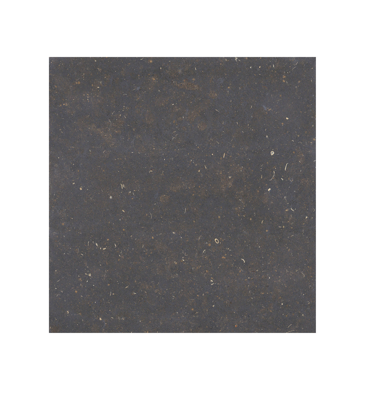 Ceramic Tile - (T) C Dover Collection available in 24x24, 3 colors and 1 finish 24x24 in Nero Matte