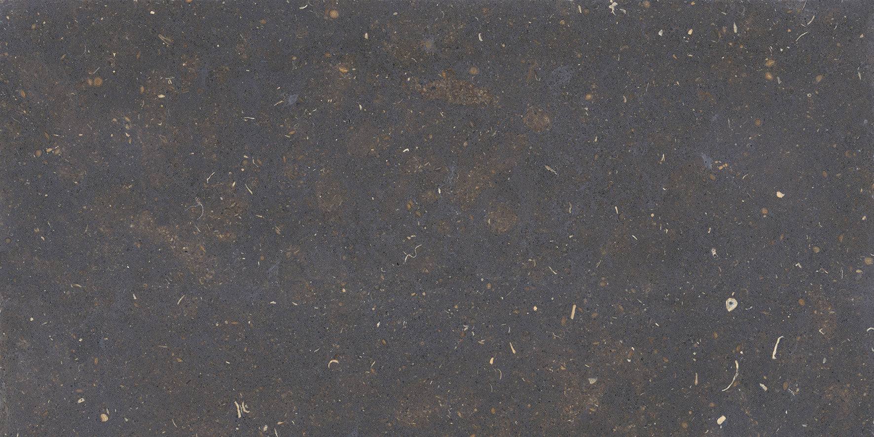 Ceramic Tile - (T) C Dover Collection available in 2 sizes 3 colors and 1 finish 24x48 in Nero Matte