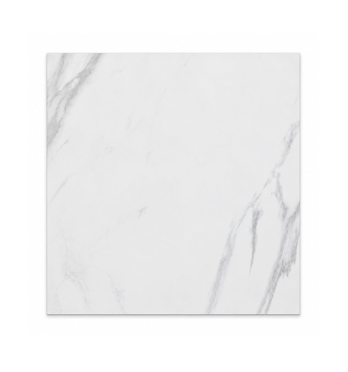 Porcelain Tile SIPANI STATUARIO Collection 24x24 in 1 Color 2 Finishs