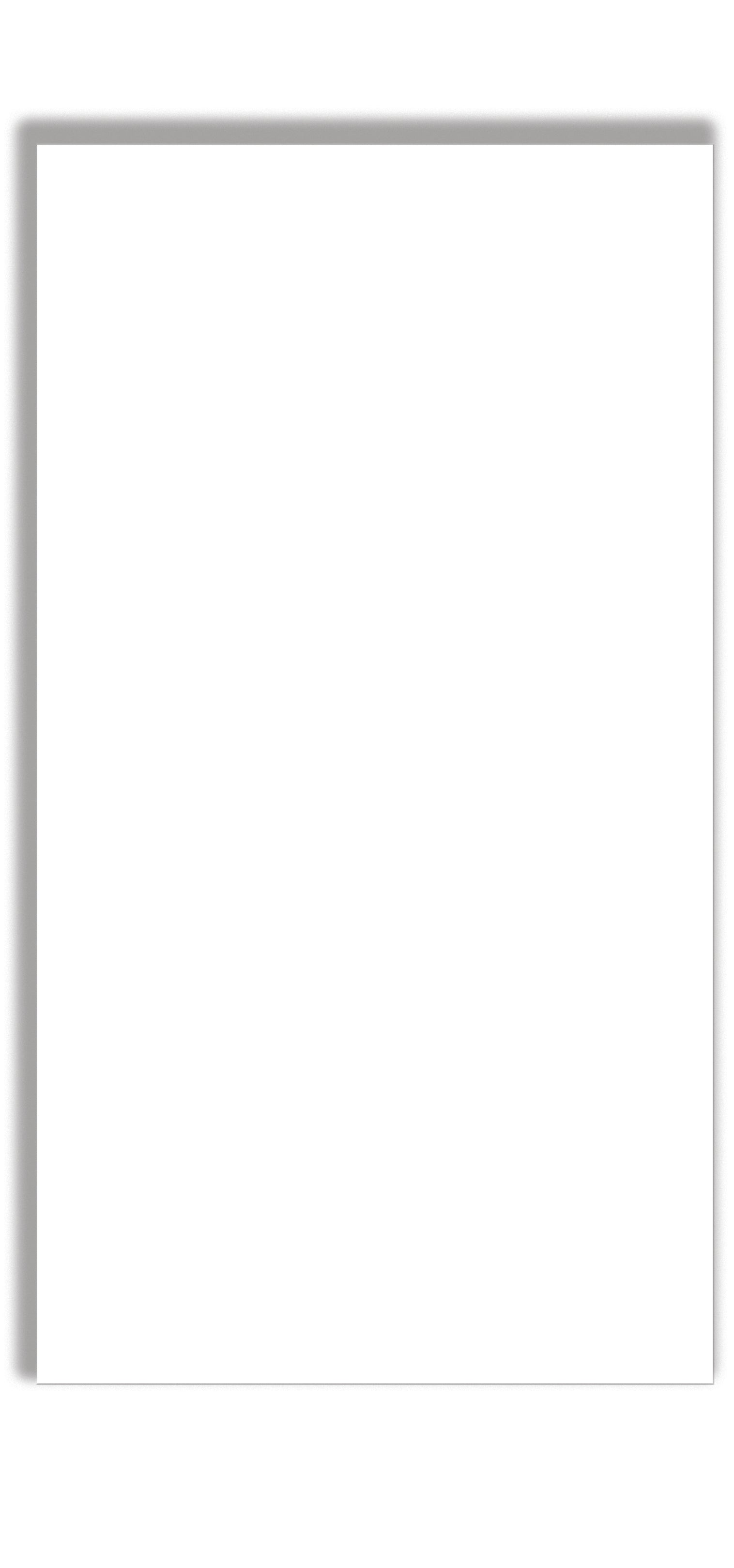 Porcelain Tile Prima True White Matte 12x24 in 15.39 SF Box