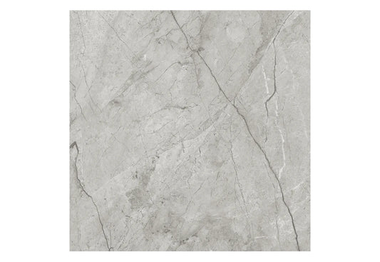 3.99 $ / SF - 15.5 SF/Box Porcelain La Marca Paradiso Argento Glazed Rectified Tile 24x24 in