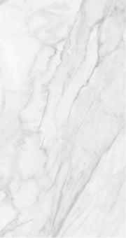 Porcelain Tile Plata Statuario Brina Matte 24x48 in 15.50 SF Box