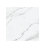 Ceramic Tile Plata Statuario Brina Polished 24x24 in 15.50 SF Box 24x24 in
