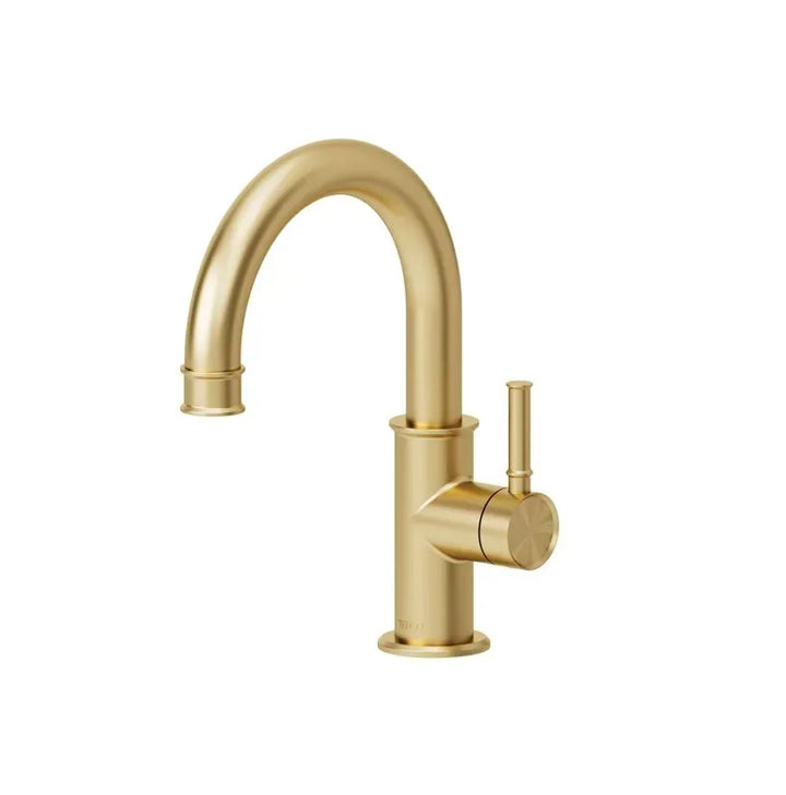 Alyss Single hole lavatory faucet