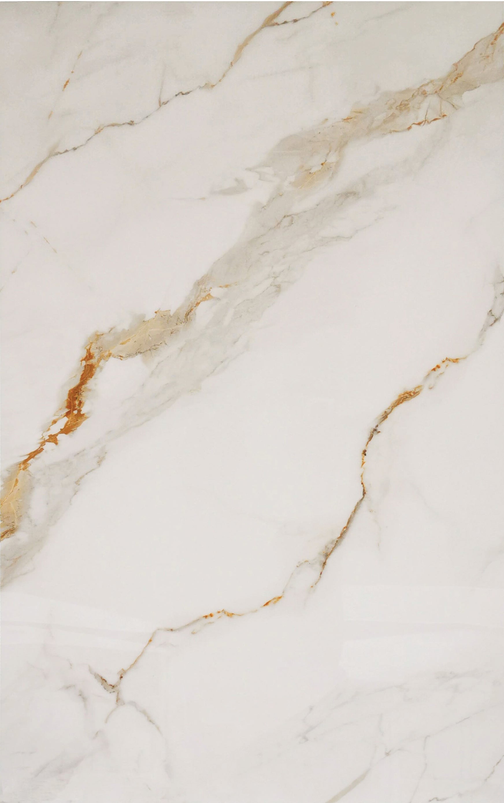 Cer./Por. Tile Calcutta Gold Polished 24x48 in 16.00 SF Box