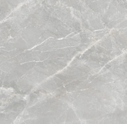 Ceramic Tile Pris Fior Di Bosco Perla Polished 24x24 in 16.00 SF Box