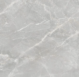 Tuile Porcelaine Pris Fior Di Bosco Perla poli 24x24 po 