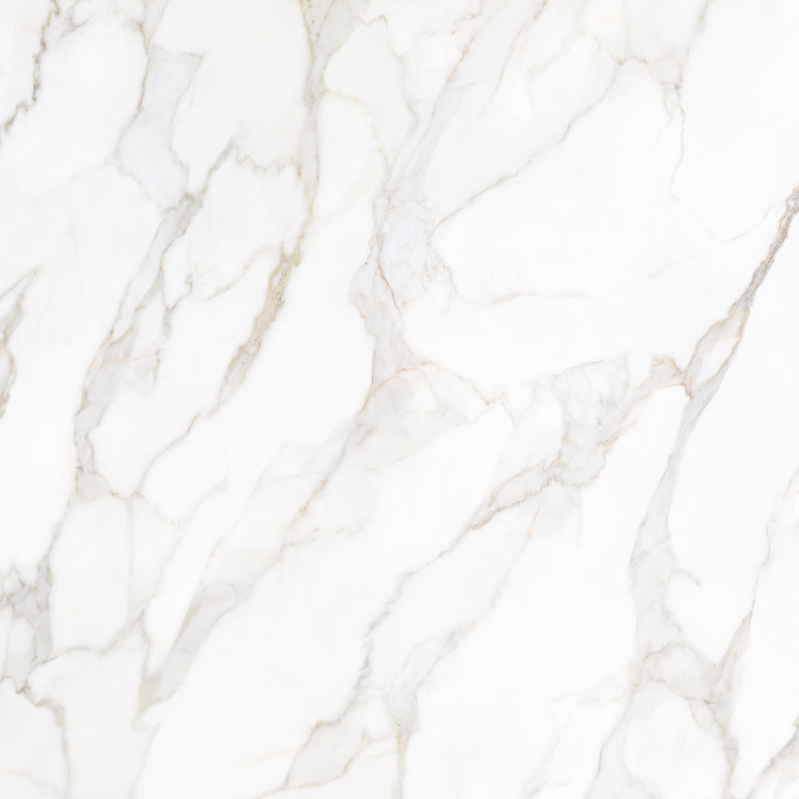 Tuile Porcelaine Pris Paonazzo Poli  Gold  12 x 24 