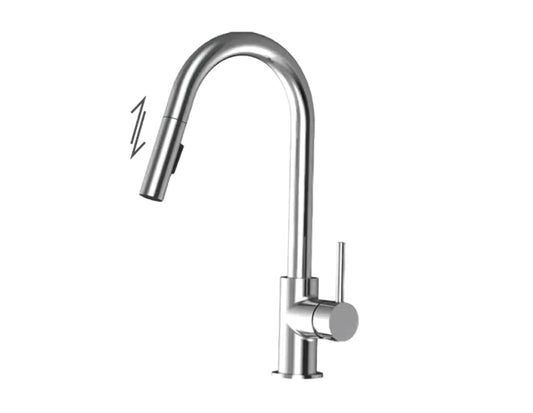 Single-handle kitchen faucet ECHO with pull-out & 2-Function hand shower