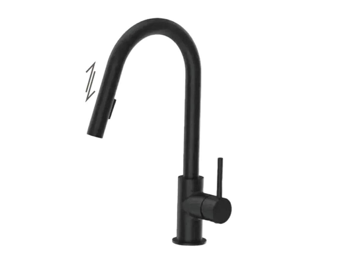 Single-handle kitchen faucet ECHO with pull-out & 2-Function hand shower