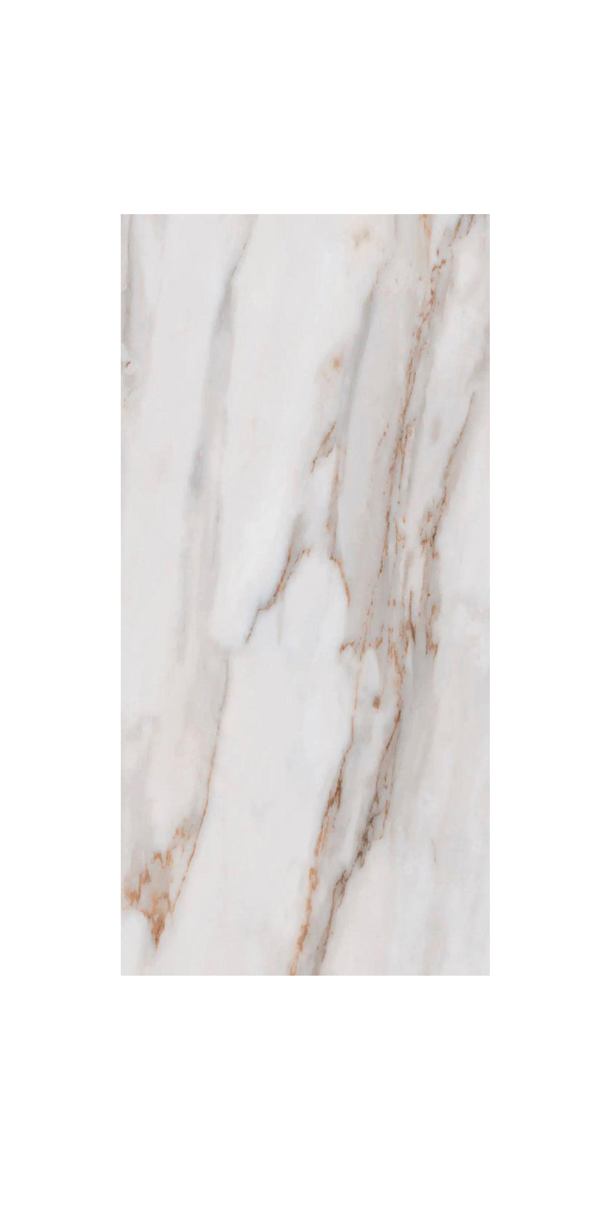 Ceramic Tile Calacata Gold Matte 12x24 in 20.34 SF Box 12x24 in