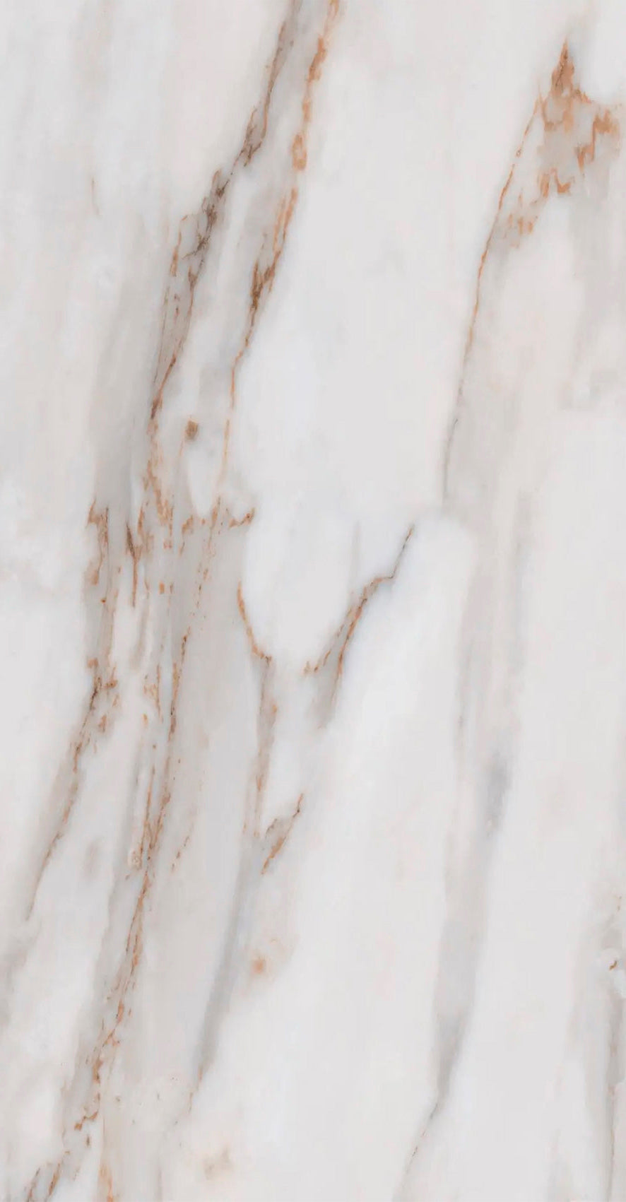 Carreau de céramique Calacata Gold mat 12 x 24 po, boîte de 20,34 pi²